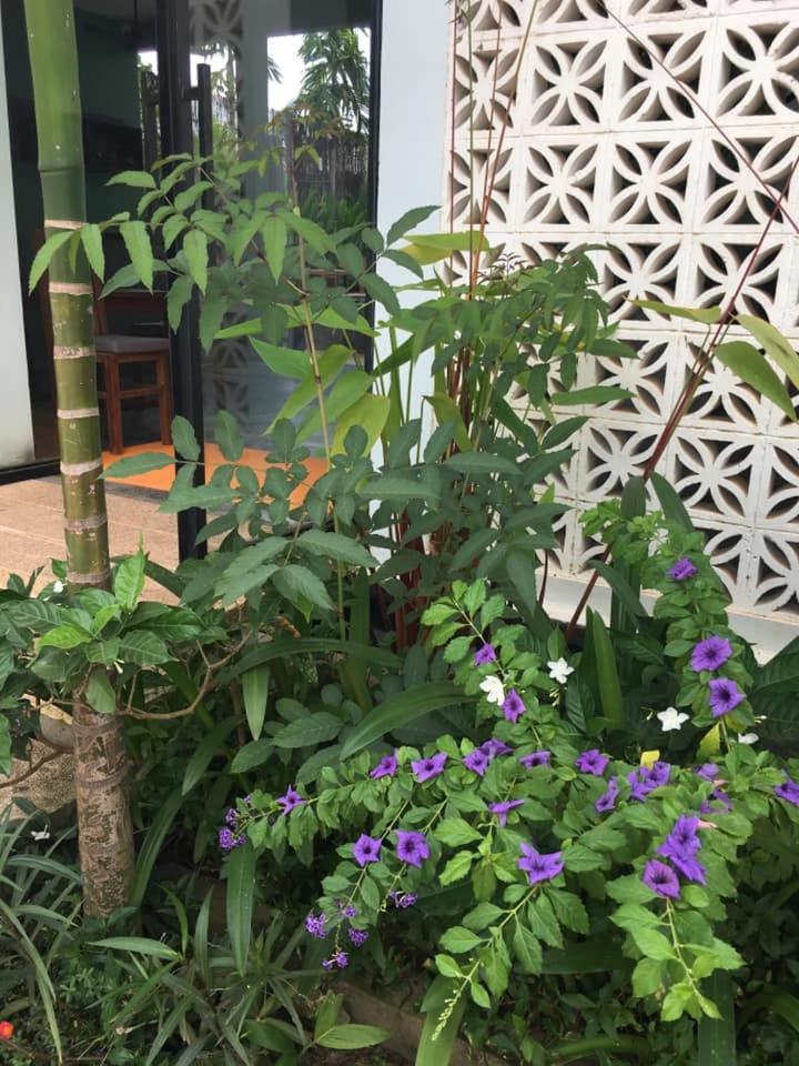 סיאם ריפ Villa D'Orange מראה חיצוני תמונה