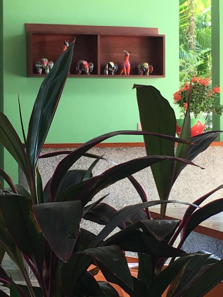 סיאם ריפ Villa D'Orange מראה חיצוני תמונה